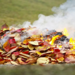 Screenshot 2025-11-24 180533