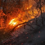 l-22x0wh-1236x720z-0.6361