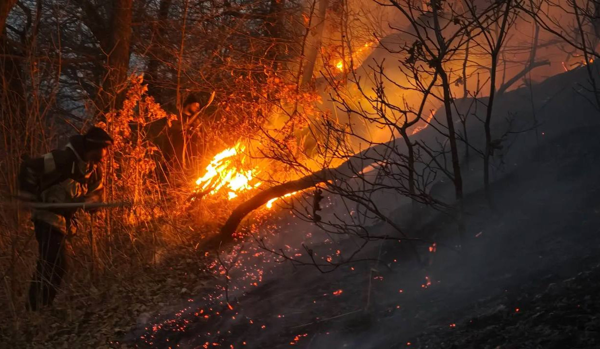 l-22x0wh-1236x720z-0.6361